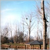 Der herbstliche Park.
